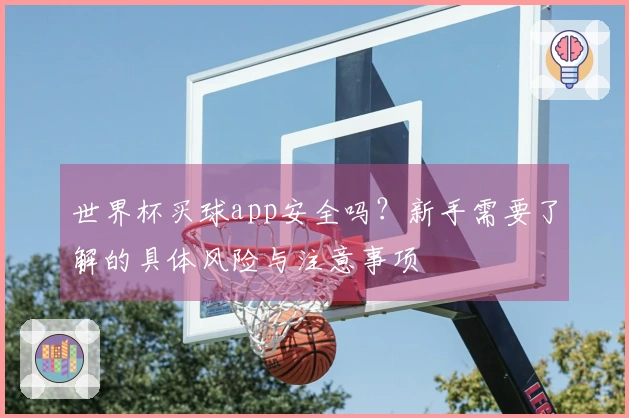世界杯买球app安全吗？新手需要了解的具体风险与注意事项