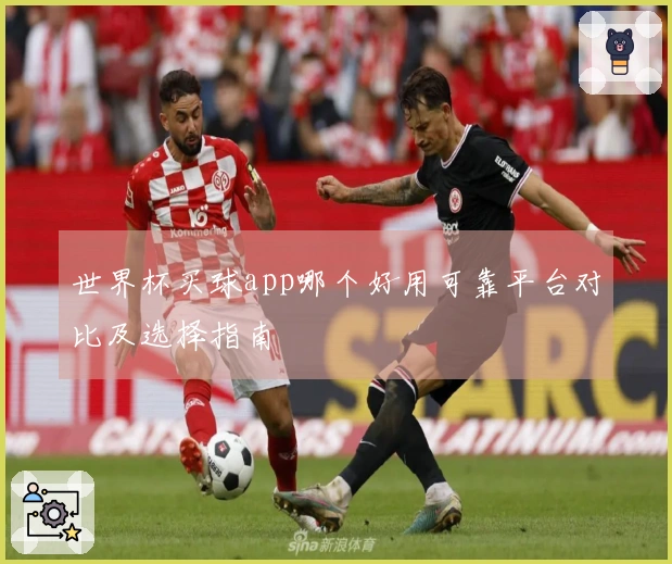 世界杯买球app哪个好用可靠平台对比及选择指南