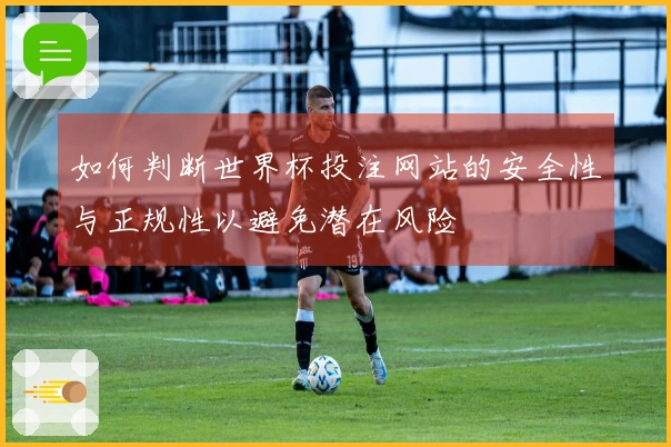 如何判断世界杯投注网站的安全性与正规性以避免潜在风险