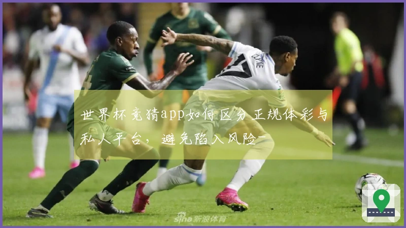 世界杯竞猜app如何区分正规体彩与私人平台，避免陷入风险-