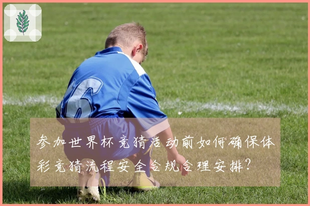 参加世界杯竞猜活动前如何确保体彩竞猜流程安全合规合理安排？